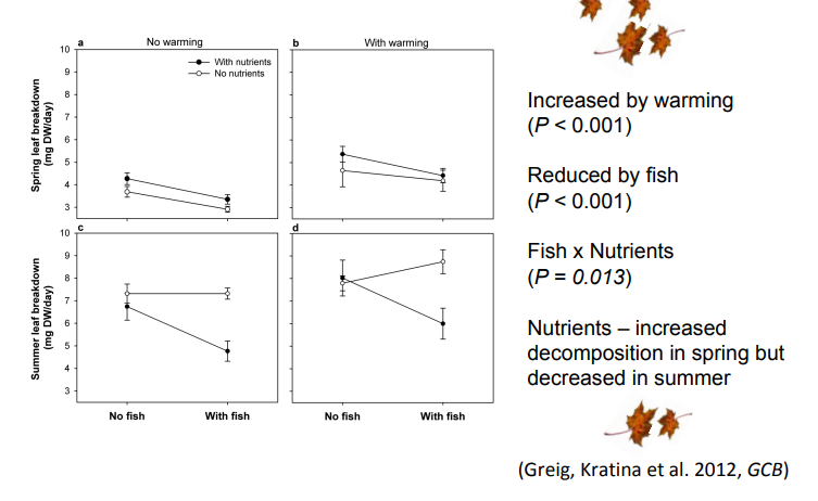 <p>Explain this graph</p>