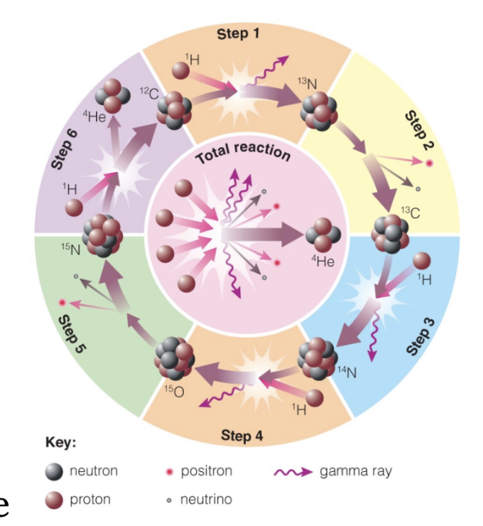 <ul><li><p><span style="background-color: transparent;">High-mass main-sequence stars fuse H to He at a higher rate using carbon, nitrogen, and oxygen as catalysts&nbsp; for the reaction to go faster</span></p></li><li><p><span style="background-color: transparent;">Greater core temperature enables hydrogen nuclei to overcome greater repulsion</span></p></li></ul><p></p>