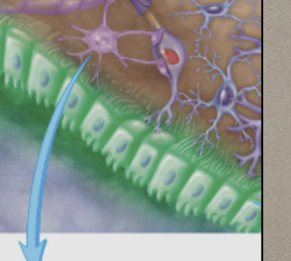 <p>What is this?</p>