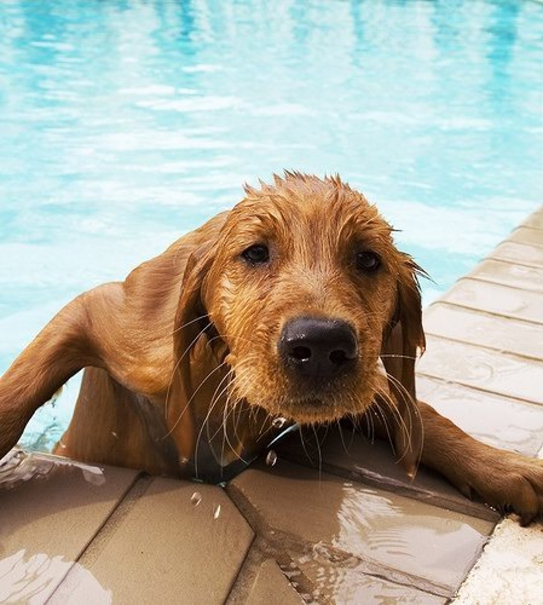 <p>Wet</p>