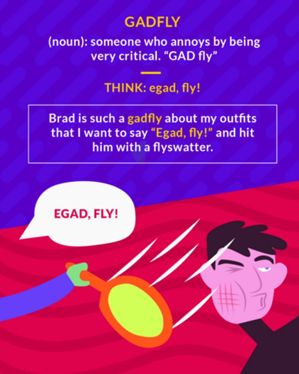 <p>an irritating and persistent person</p><p>(noun) someone who annoys by being very critical</p><p>(noun) irritating critical person</p>