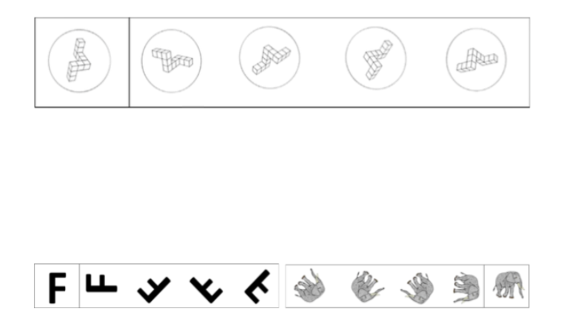 <ul><li><p><span style="background-color: transparent;"><span>Which figures match the target figure? Two of the four comparisons are rotated versions of&nbsp;the target and two are mirror images of the target</span></span></p></li></ul><p></p>