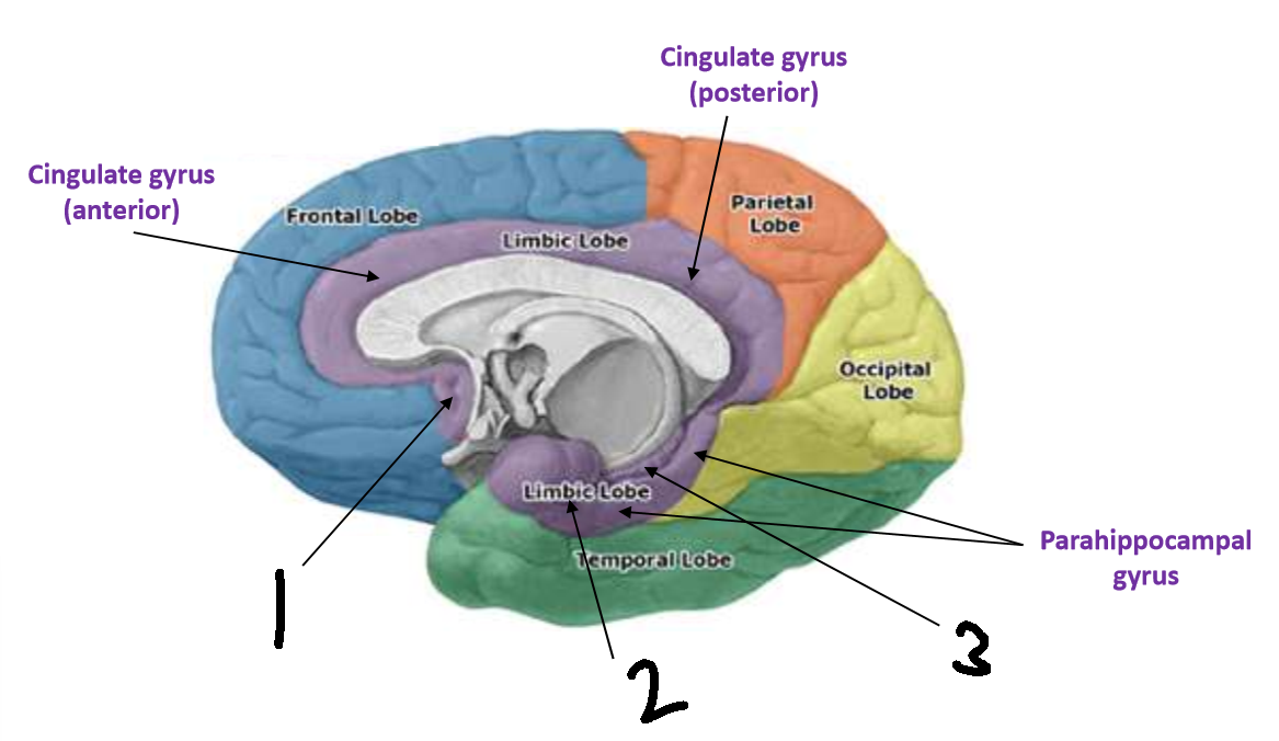 <p>What is 1?</p>