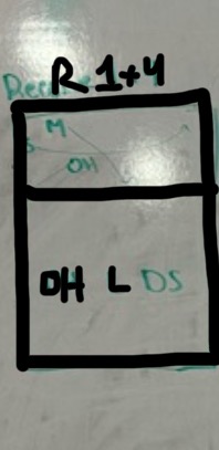 <p>L in back middle between OH &amp; DS; OH in back left with L to the right. No movement after pass — both stay in their receive base spots.</p>