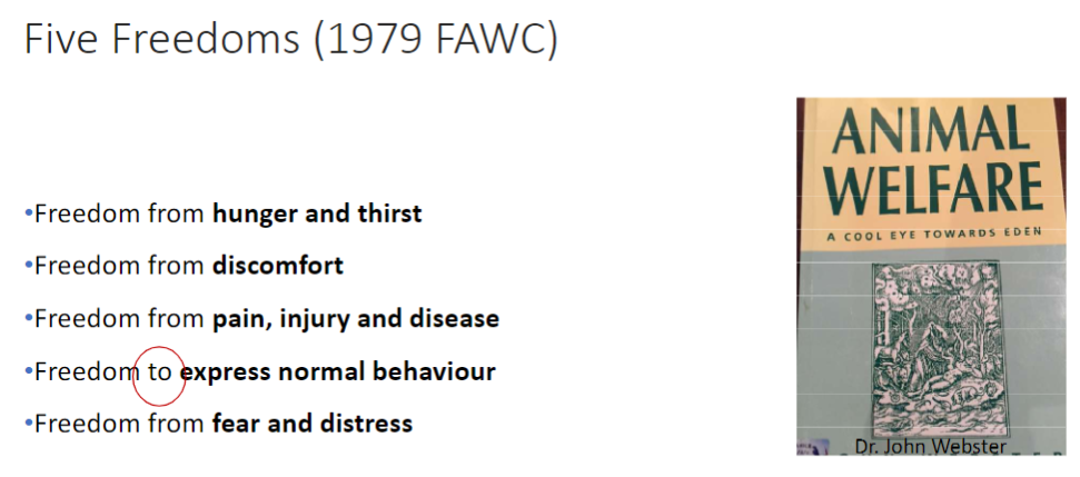<p><strong>Freedom from Hunger and Thirst</strong><br> Ensures access to <strong>fresh water</strong> and a <strong>diet</strong> to maintain full <strong>health</strong> and <strong>vigour</strong></p><p><strong>Freedom from Discomfort</strong><br> Provides an appropriate <strong>environment</strong> including <strong>shelter</strong> and <strong>comfortable resting area</strong></p><p><strong>Freedom from Pain, Injury, and Disease</strong><br> Prevention or <strong>rapid diagnosis and treatment</strong> of illness or injury</p><p><strong>Freedom to Express Normal Behaviour</strong><br> Provision of <strong>sufficient space</strong>, <strong>proper facilities</strong>, and <strong>social companionship</strong> for natural behaviors</p><p><strong>Freedom from Fear and Distress</strong><br> Ensures conditions and treatment that avoid <strong>mental suffering</strong></p><p><strong>Key Figures</strong><br> Developed by <strong>UK Farm Animal Welfare Council (FAWC)</strong><br> Promoted by <strong>Dr. John Webster</strong></p>
