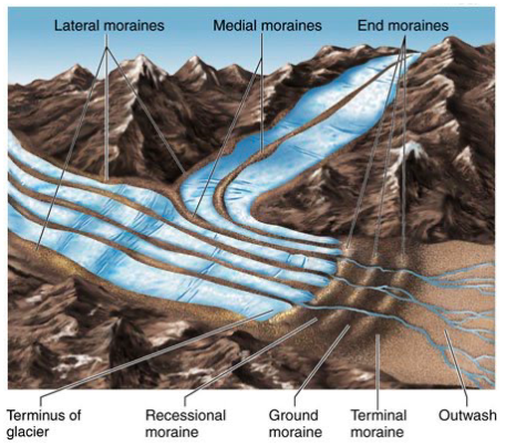 <p>lateral → formed along edge of valley</p><p>medial → joining of 2 lateral moraines</p><p>end → formed at end of glacier</p><p>terminal → type of end glacier, furthest one formed</p><p>recessional → end moraine marking times of temp pauses</p>