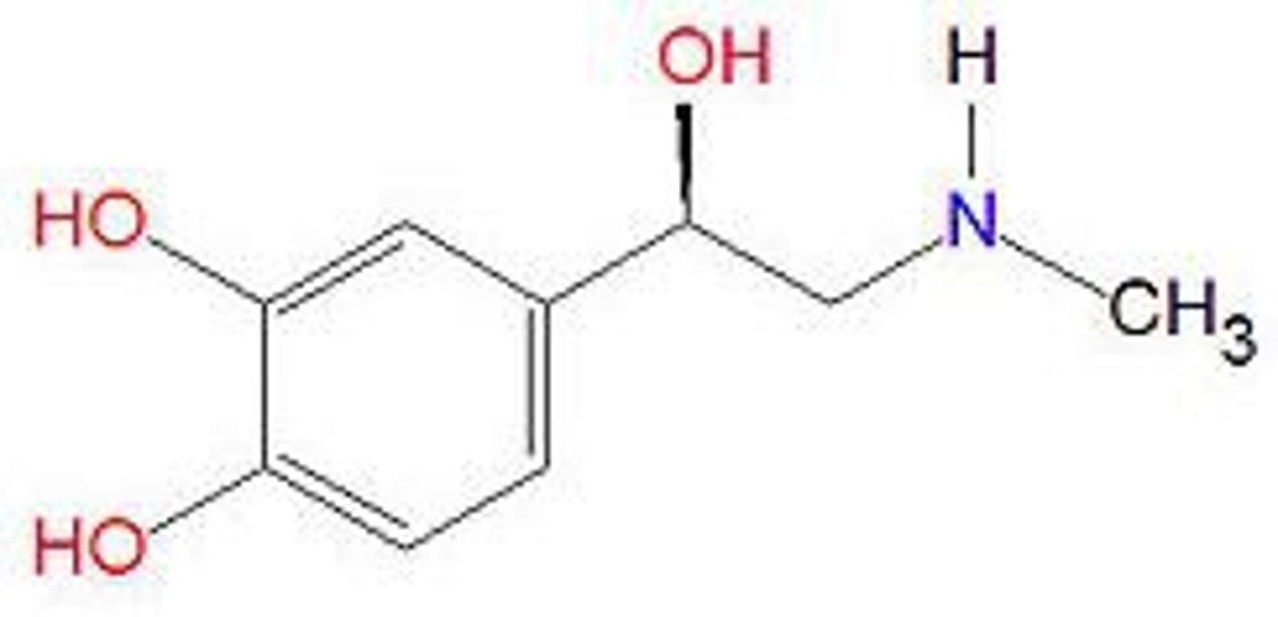 <p>a hormone secreted by the adrenal glands, especially in conditions of stress, increasing rates of blood circulation, breathing, and carbohydrate metabolism and preparing muscles for exertion</p>