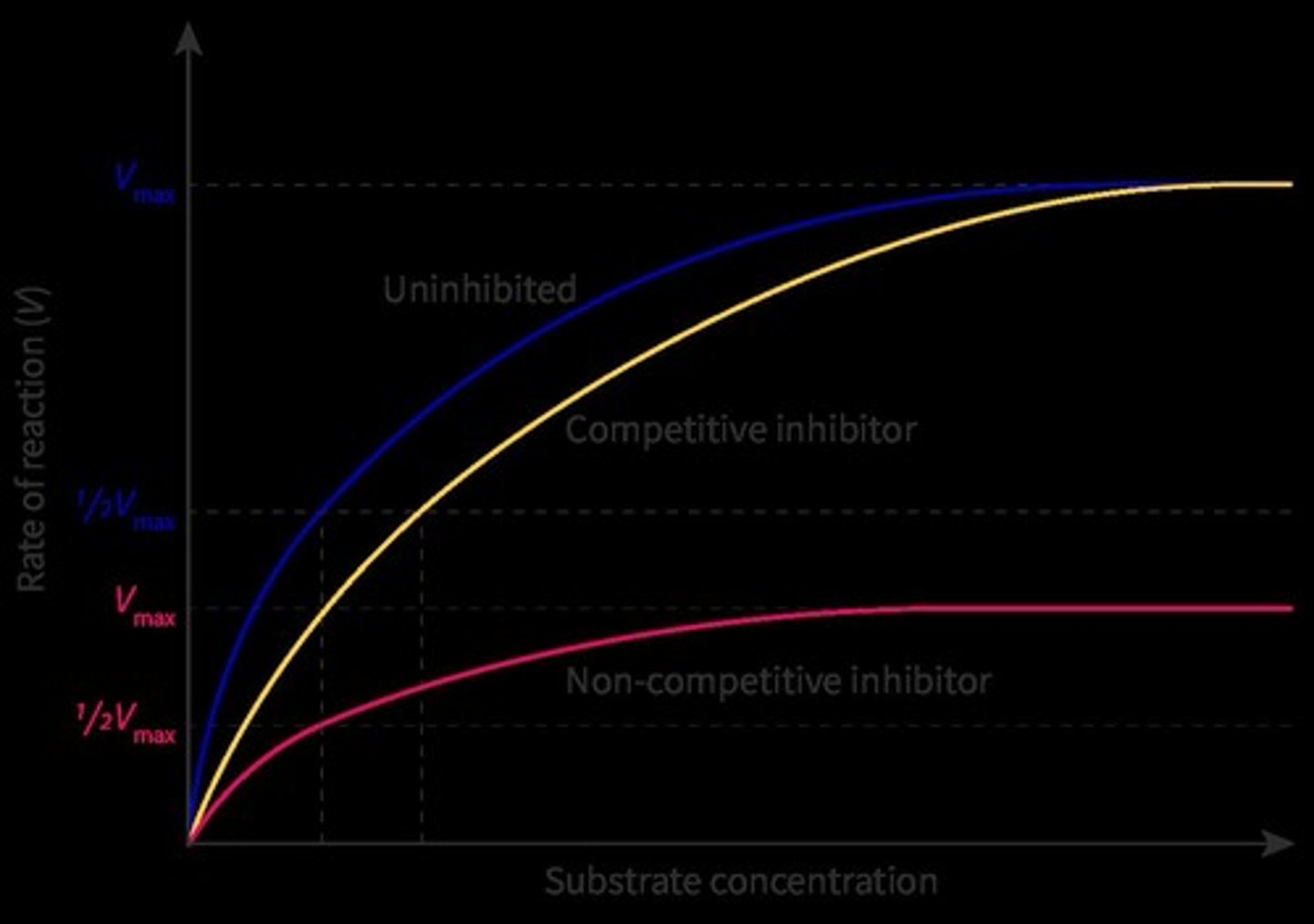 <p>It occurs when an inhibitor binds to the active site of the enzyme, blocking the substrate from binding.</p>