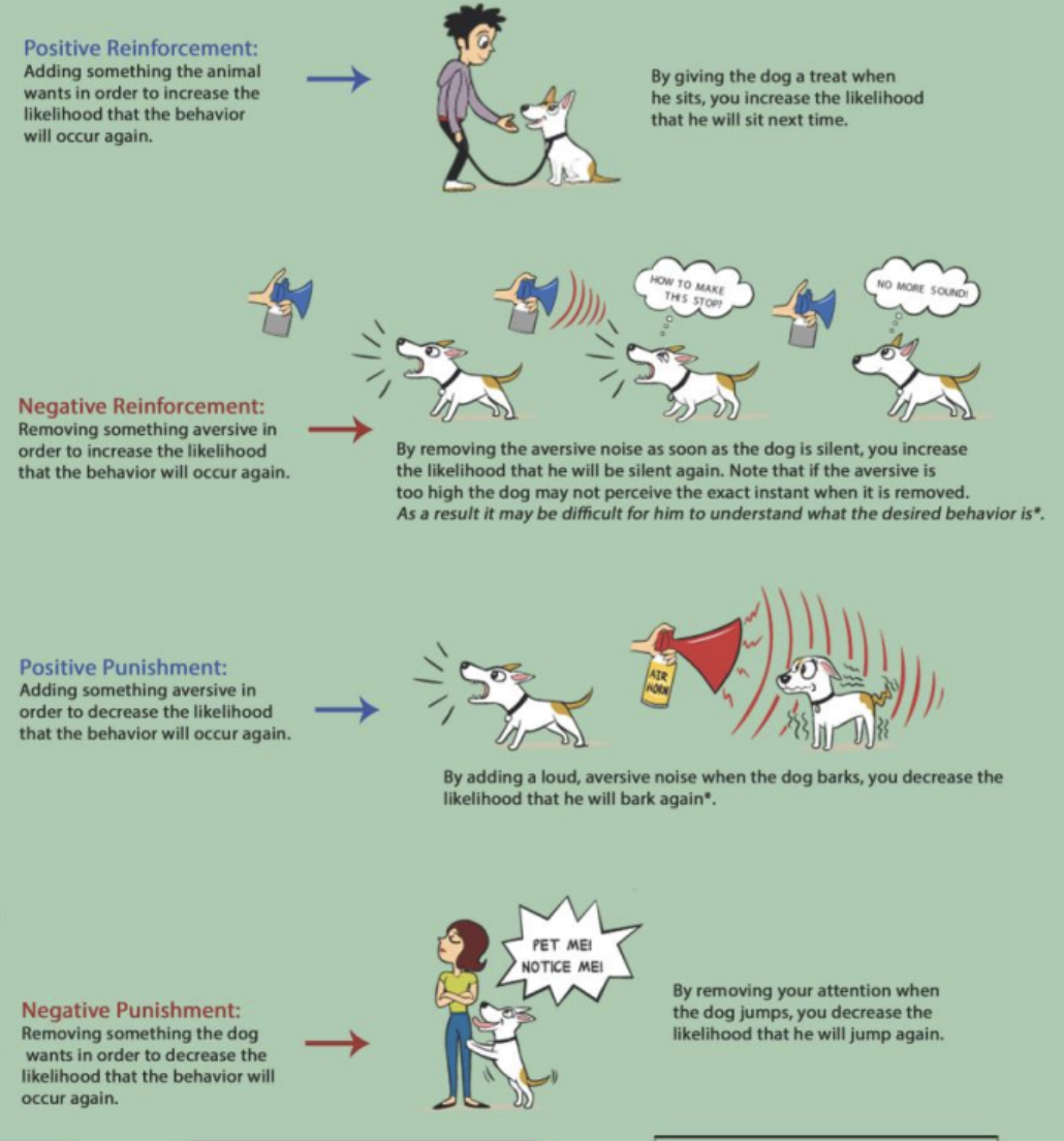 <ul><li><p><span style="background-color: transparent;"><span>Pos. reinforcement = present stimulus, more behavior</span></span></p></li><li><p><span style="background-color: transparent;"><span>Negative reinforcement = removal stimulus, more behavior</span></span></p></li><li><p><span style="background-color: transparent;"><span>Positive punishment = present stimulus, less behavior</span></span></p></li><li><p><span style="background-color: transparent;"><span>Neg punishment = remove stimulus, less behavior</span></span></p></li></ul><p></p>