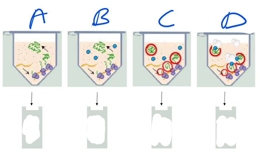 <p>Explain each column of this experiment</p>