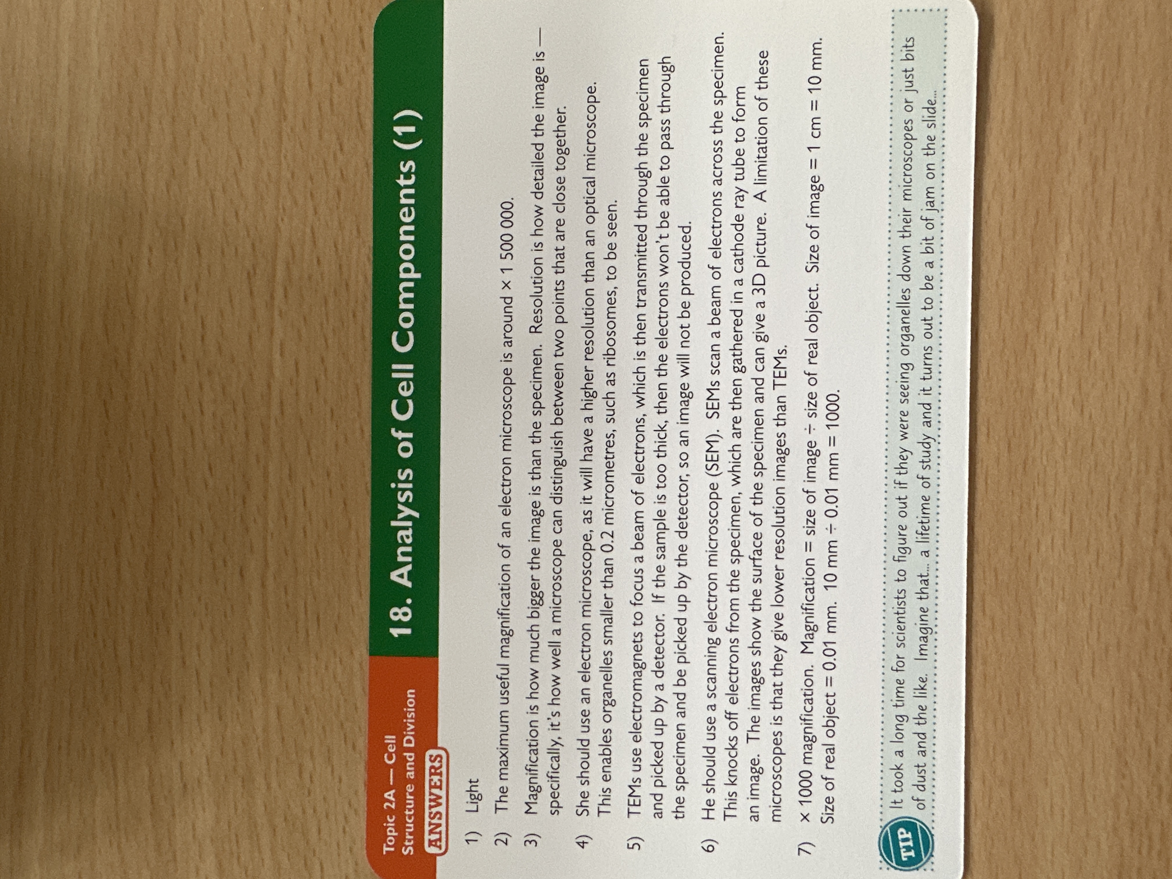 knowt flashcard image