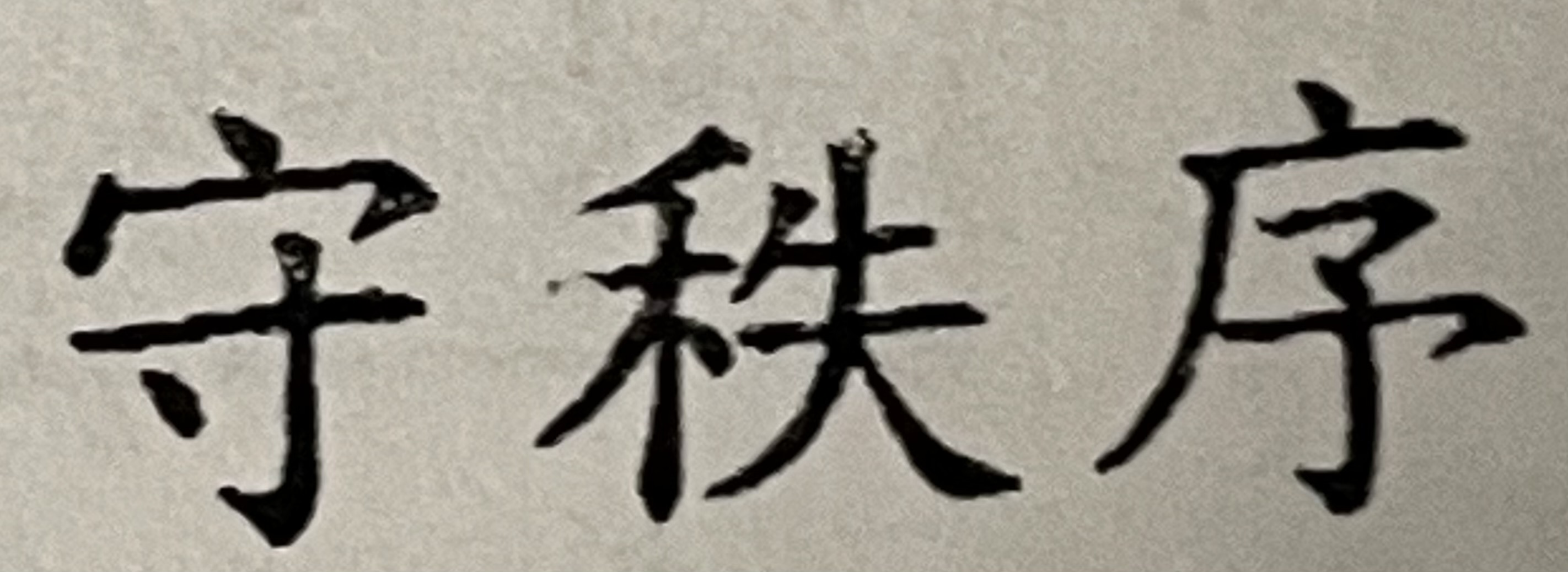 term image