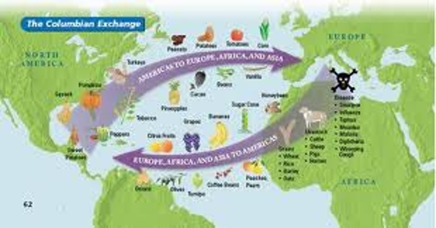 <p>A global exchange<br>-Named after Christopher Columbus<br><br>Exchanging food and animals<br>- Lots of new things<br>- Spread of disease<br>- Horses, pigs, turkeys<br><br>Population Growth<br>- Increased food supply<br><br>Movement of people and ideas<br>- Cultures changing and mixing</p>