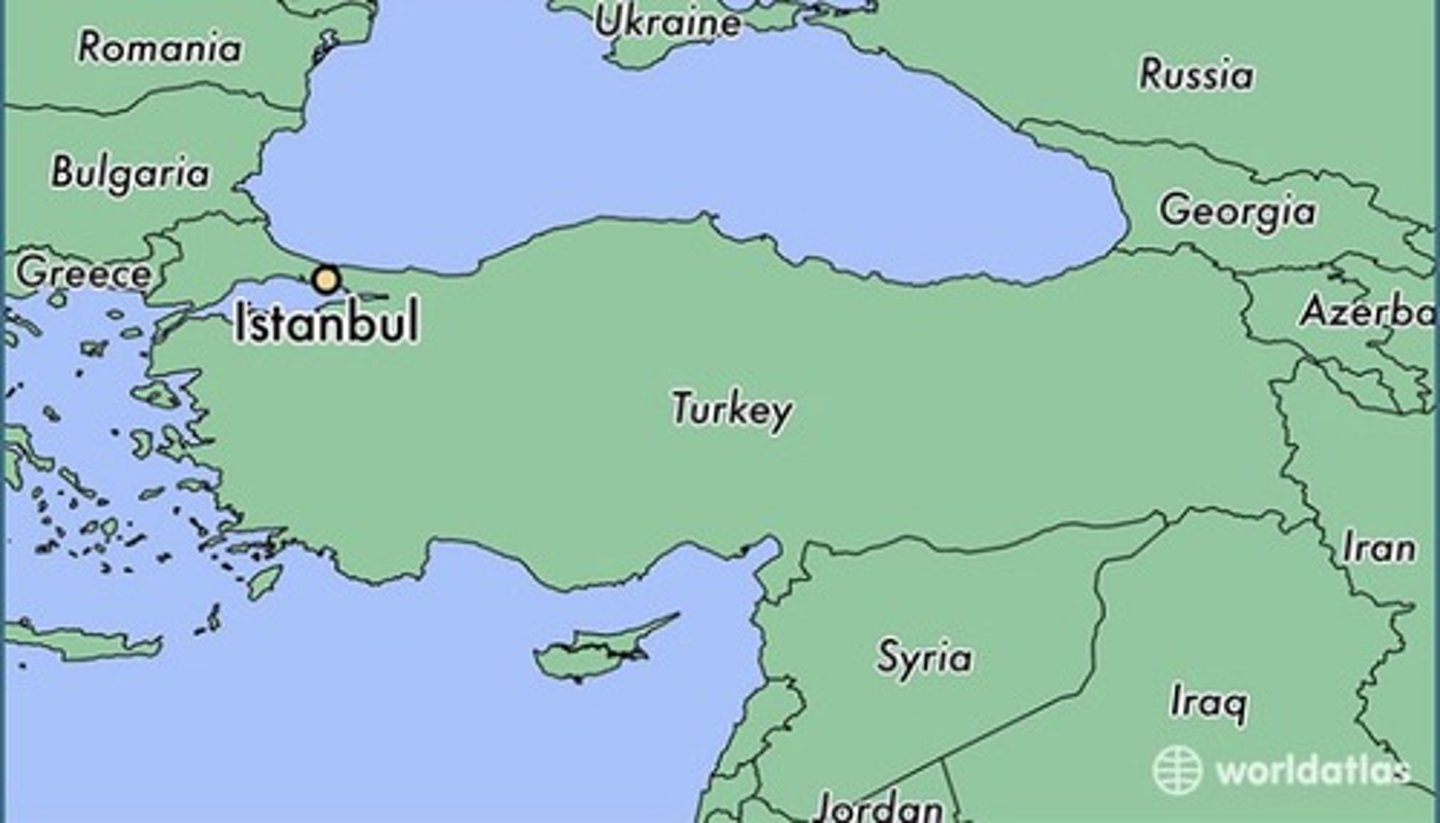 <p>Turkey</p>