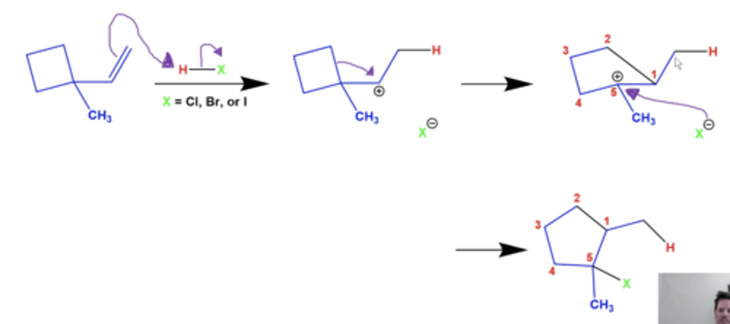 <p>-this not only forms a more stable carbocation, but also relieves angle strain</p>