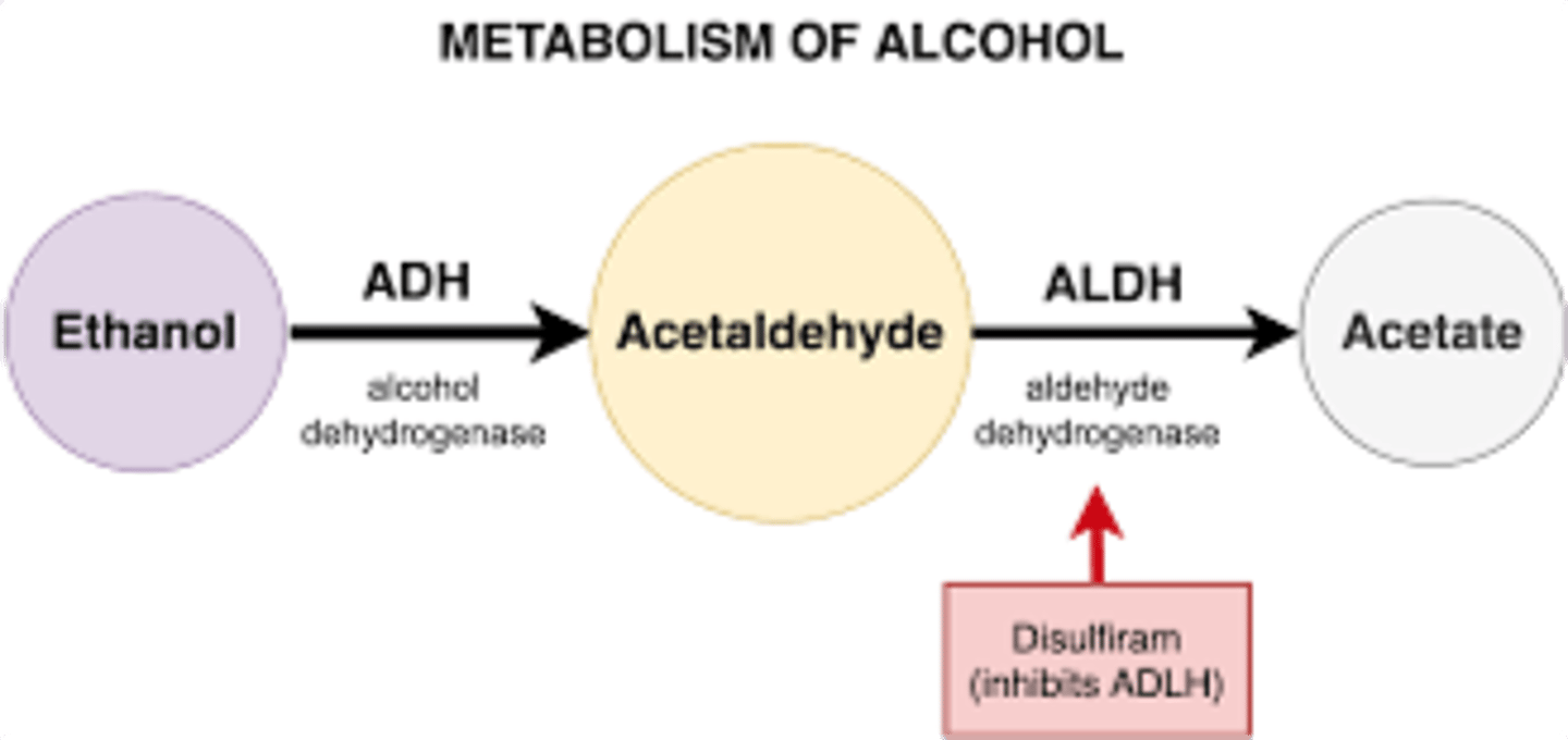 <p>- Disulfiram PO qd: increases acetaldehyde, makes pt feel when they drink &amp; want to stop</p><p>- Naltrexone PO qd: long acting Narcan, decreases cravings</p>