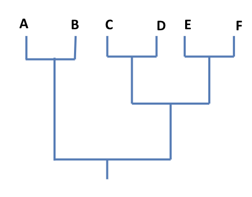 <p><span style="background-color: transparent;"><span>Tips equidistant from the root</span></span></p>