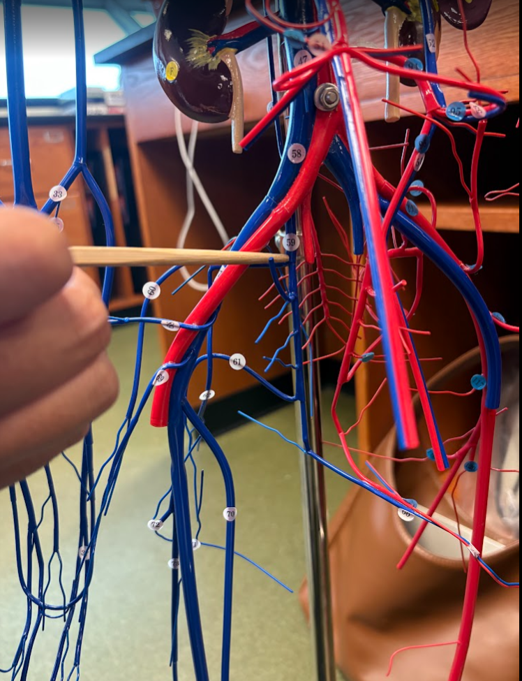 <p>What is this?</p>