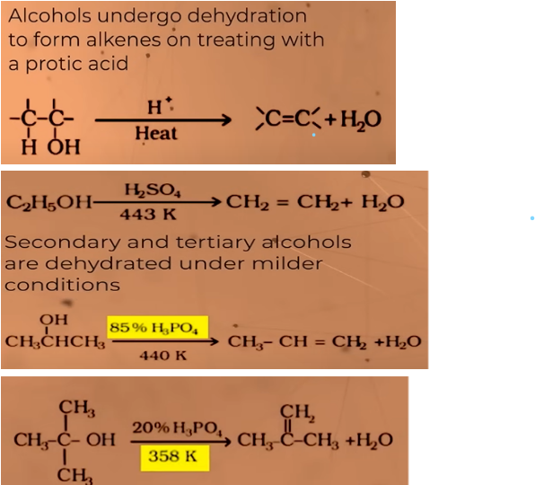 <ul><li><p>ALKENES</p></li><li><p>In the presence of protic acids(gives H+ easily like H2SO4 or H3PO4 phosphoric acid)</p></li></ul><p>relative ease of dehydration in alcohols:</p><p>tertiary&gt;secondary &gt;primary </p><p>reason: in this reaction carbocation is formed. 3<sup>o </sup>carbocation is more stable in comparison to 2<sup>o  </sup>and<sup> </sup>1<sup>o</sup></p>