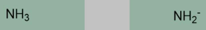 <p>Ammonia, Amide ion</p>