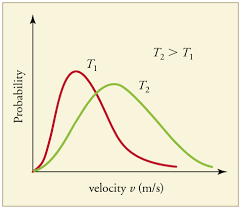 <p>higher temp = higher velocity = wider distribution</p>