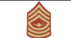 <p>3 Chevrons, 2 Rockers &amp; Lamp of Learning </p>