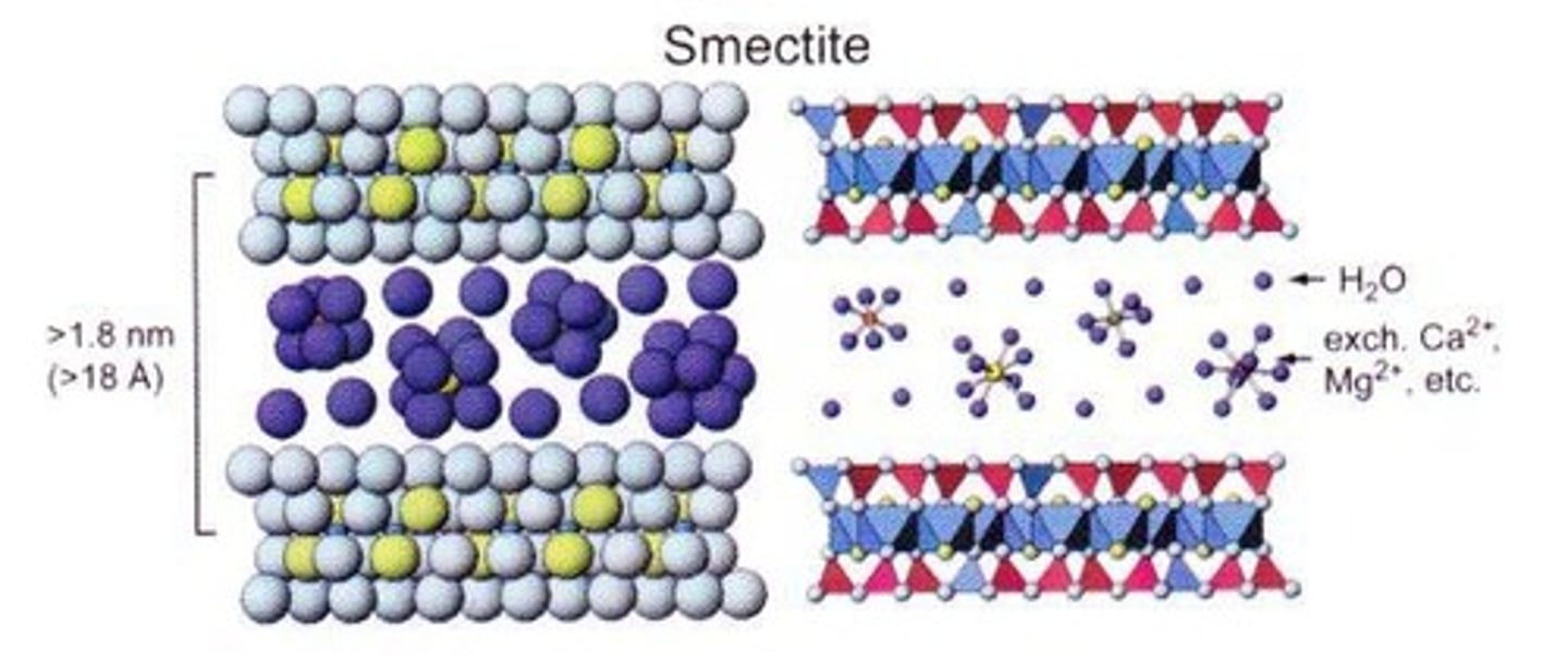 <p>It exhibits the most swelling and shrinking of all clays.</p>