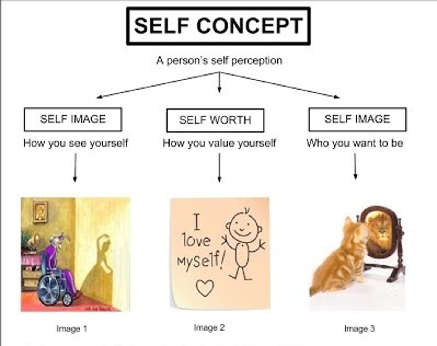 <p>(B) Awareness of Self</p><p>Carl Rogers' three components of self-concept are self-esteem, self-image, and ideal self.</p>