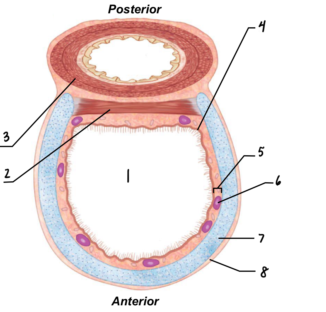 <p>1</p>