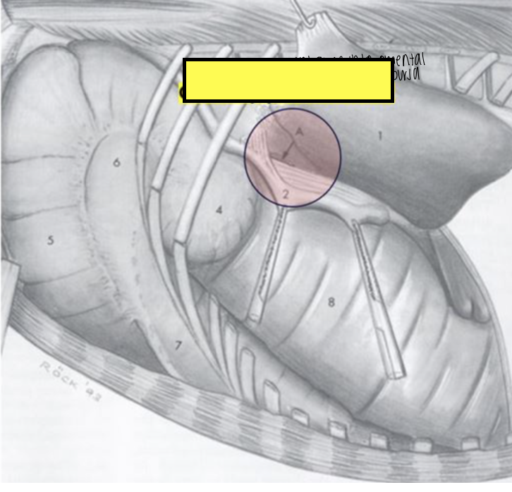 <p>what does the red circle indicate?</p>