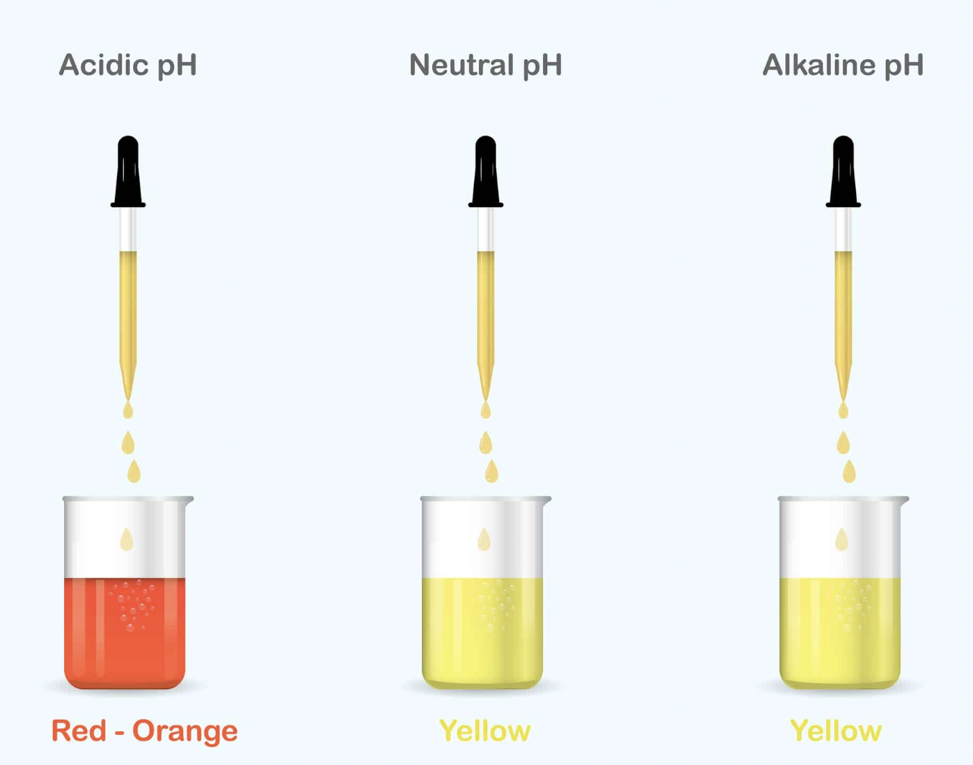 <p>acid = red</p><p>neutral = yellow</p><p>alkaline = yellow</p>
