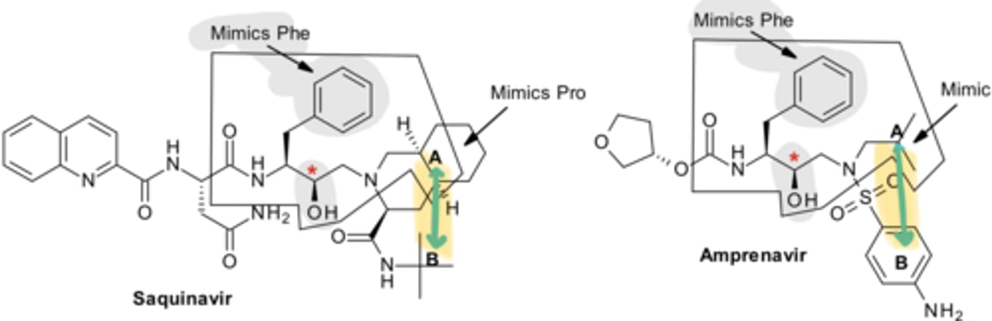 <p>ALL HIV Protease Inhibitors have the same __ between the 2 hydrophobic regions</p>