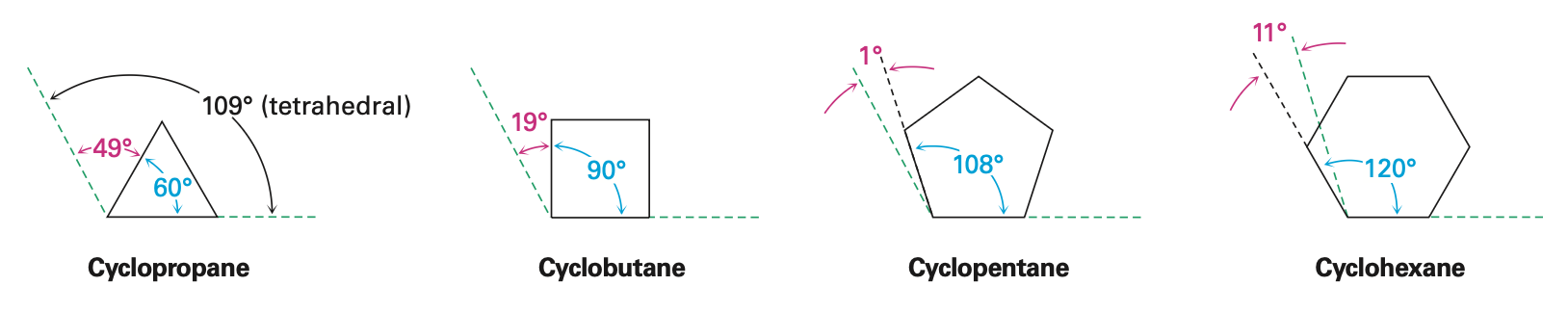 <p>more possible conformations </p>