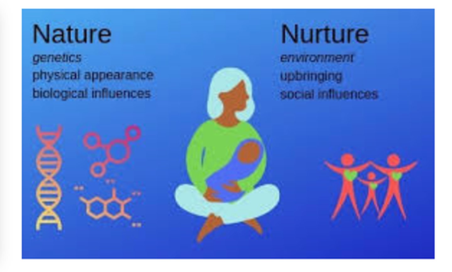 <p>The influence of the environment on personality, physical growth, intellectual growth, and social interactions</p>