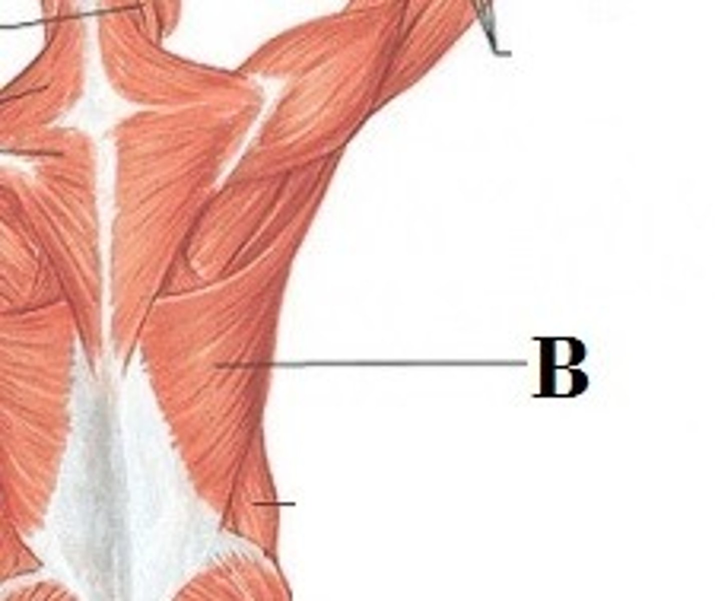 <p>DEFINITION</p>