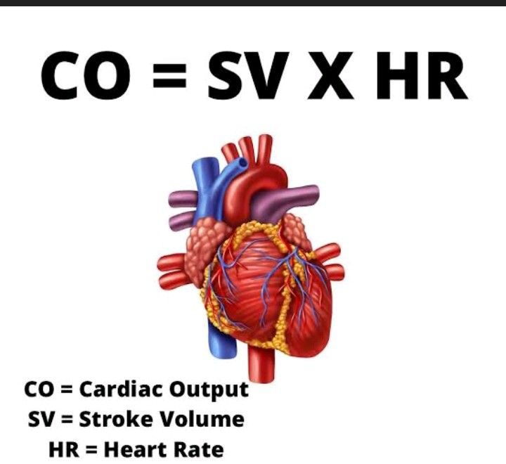 <p>Cardiac Output (CO) = Stroke Volume (SV) × Heart Rate (HR)</p>