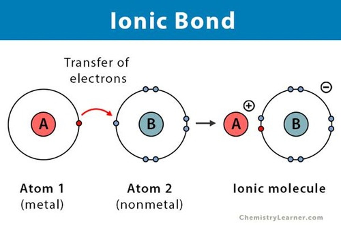 <p>Form when one or more electrons are transferred from one atom to another.</p>