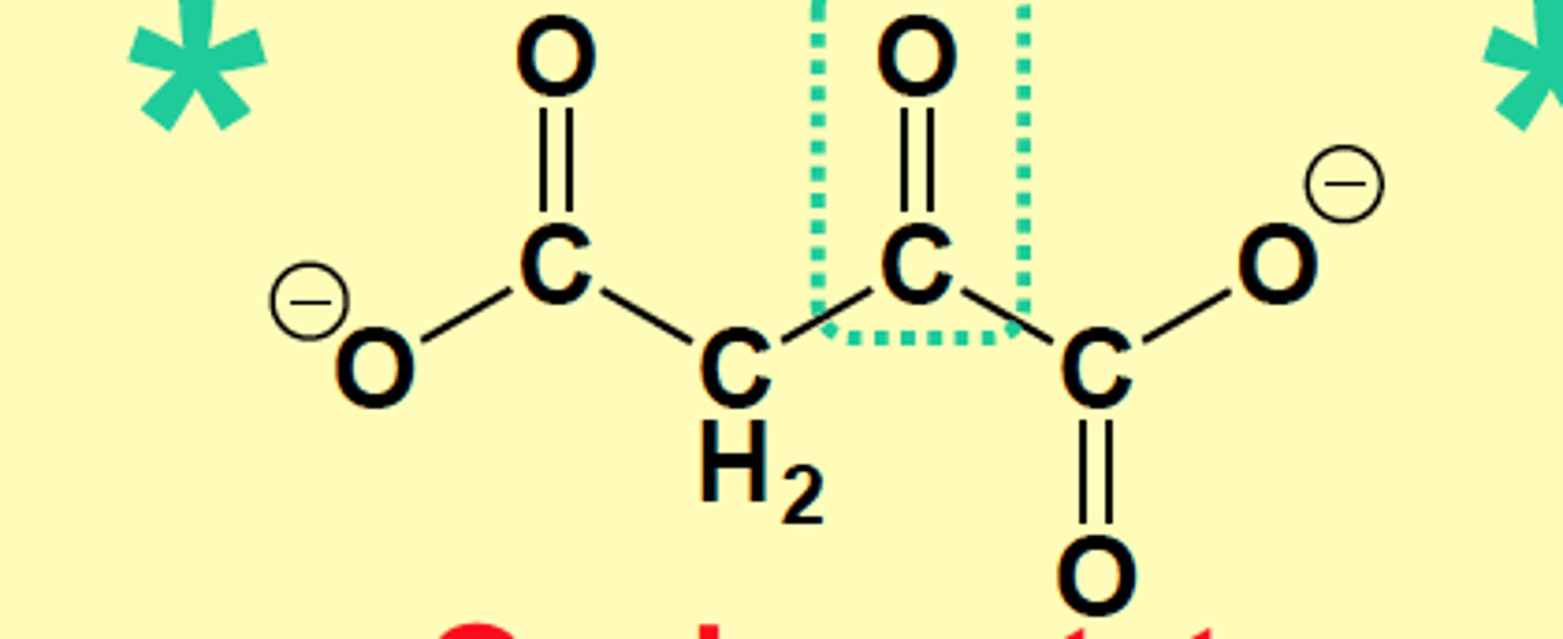 <p>Oxaloacetate</p>