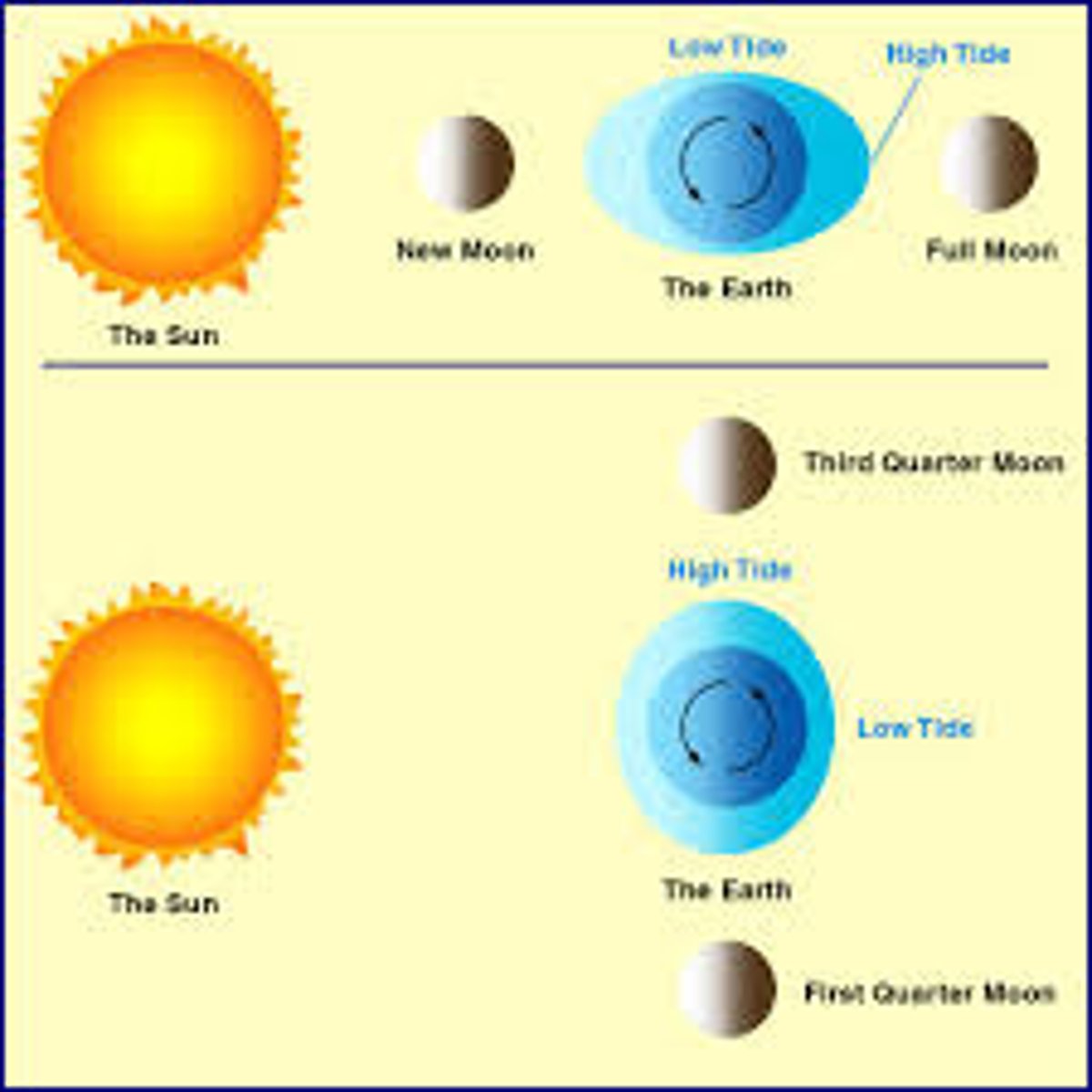 <p>Spring tides occur when the sun and the moon are in line (180°) with the earth. Neap tides occur when the sun and the moon occur at right angles (90°) to the earth.</p>