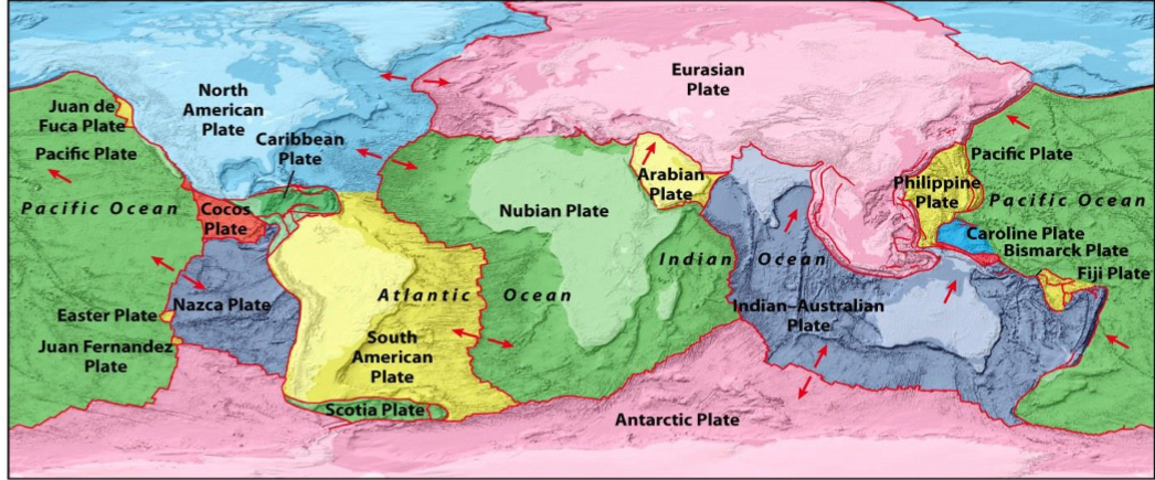 <ul><li><p>Red Arrows</p><ul><li><p><strong>Away from each other = divergent</strong></p><ul><li><p>ex. Between the South American plate and the nubian plate</p></li><li><p><strong>Forms a mid ocean Ridge</strong></p></li><li><p>Well cause the <strong>land continents on them to be further apart</strong> millions of years from now</p></li></ul></li><li><p><strong>Towards each other = convergent</strong></p><ul><li><p>ex. between juan de fuca and north american</p><ul><li><p><strong>juan de fuca was a larger plate that was recycled under the North American one because of subduction</strong></p></li></ul></li><li><p>ex. Between the Indian Australian plate and the Eurasian plate</p></li><li><p><strong>forms mountains</strong></p></li></ul></li><li><p><strong>arrows moving past each other&nbsp; = transform</strong></p></li><li><p><strong>single arrows = overall movement of a plate</strong></p></li></ul></li><li><p>plates move ~ 0 to 10 cm</p></li><li><p><strong>Locations on the boundaries with subduction </strong>are more likely to experience hazards like <strong>earthquakes and volcanoes</strong></p></li></ul><p></p>