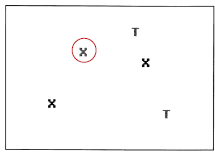 <p>target shares color with one set and shape with another set of distractors</p>