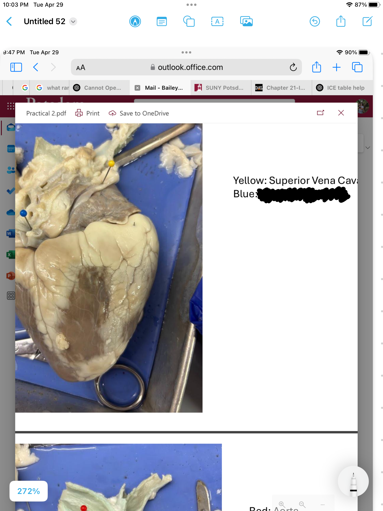 <p>label the area</p>