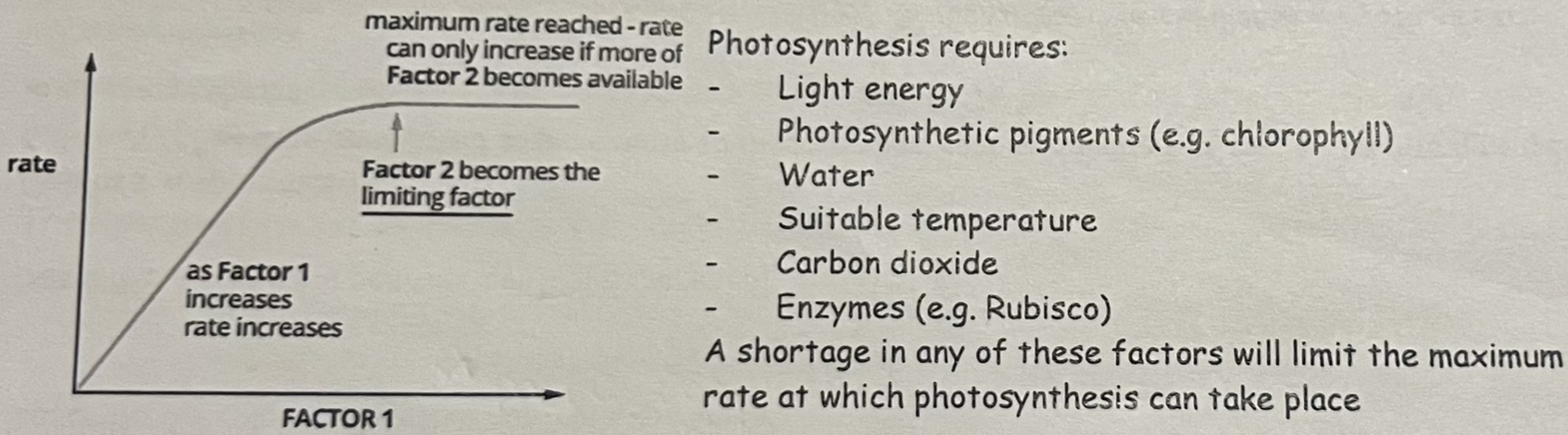 <p>Limiting factor: factor in shortest supply which limits the rate of a physiological process</p><ul><li><p>Any change in the level of a limiting factor will affect the rate of reaction</p></li></ul><p>Rate limiting step: the slowest reaction in a sequence &amp; so determines the overall rate of reaction.</p>