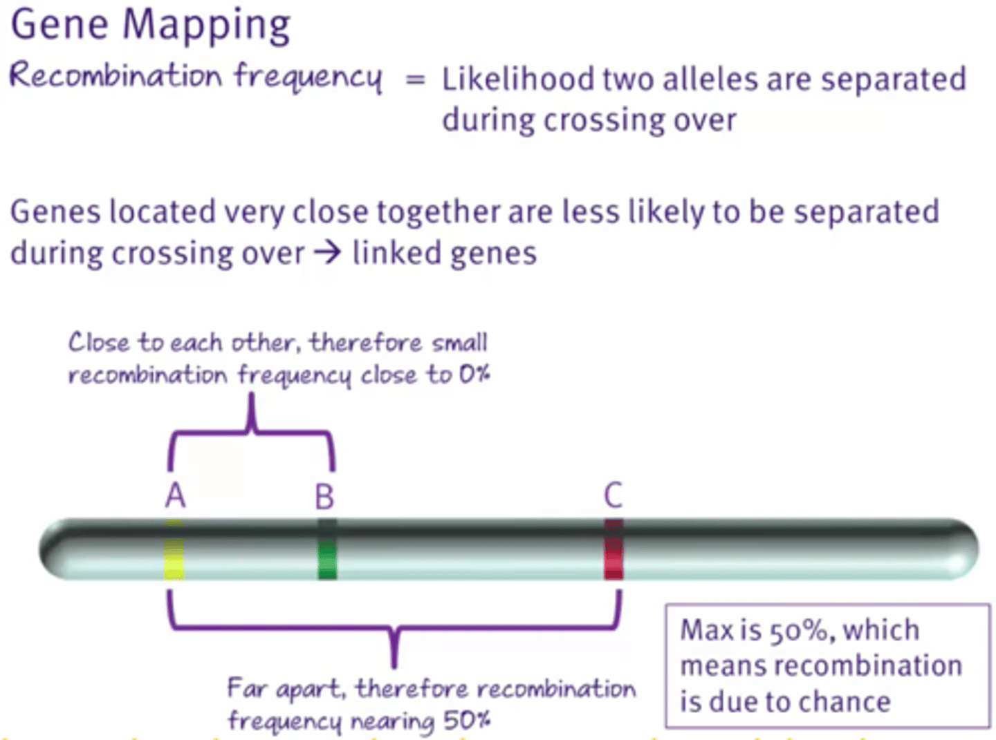 <p>The likelihood of two alleles being separated during crossover by meiosis.</p><p>Genes that are close to each other have low recombination frequency because they are unlike to cross-over separately</p>