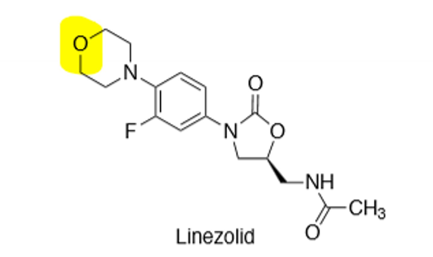 <p>Oxazolidinone, binds to the 50S ribosomal subunit, inhibits protein synthesis at peptide elongation stage, specifically interacts with 23S rRNA inside the 50S subunit, good for drug resistant gram (+) bacteria, excellent oral bioavailability, but can be used IV as well, target site modification is the main form of resistance to reduce binding affinity to 23S rRNA, can cause tongue discoloration and oral thrush, must get CBC because thrombocytopenia risk, neuropathy after 6 months, *MAO-Inhibitor --> Watch with adrenergic and serotonergic agents, and food rich is tyramine.</p>