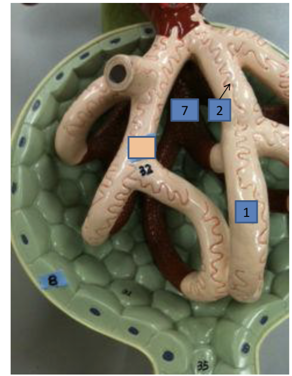 <p><strong>#1</strong></p>