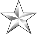 <p>Brigadier General</p>