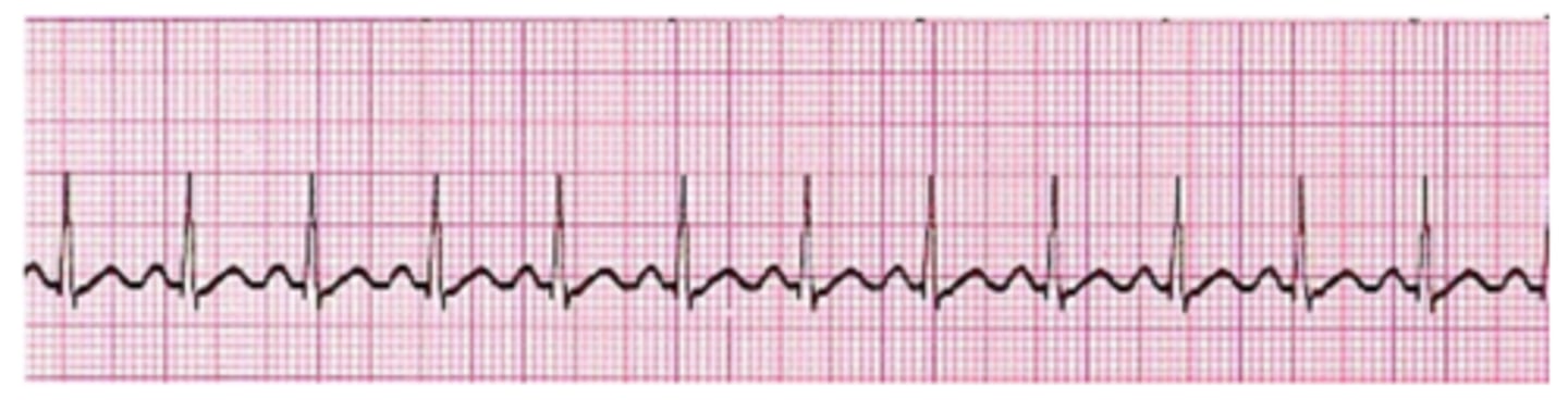 <p>What is this?</p>