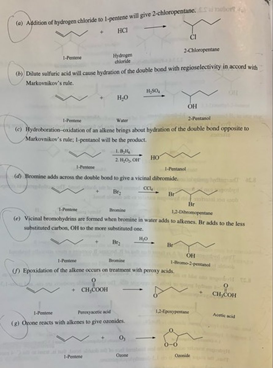 <p>(a) 2-chloropentane</p><p>(b) 2-pentanol</p><p>(c) 1-pentanol</p><p>(d) 1,2-Dibromopentane</p><p>(e) 1-Bromo-2-pentanol</p><p>(f) 1,2-Epoxypentane</p><p>(g) Ozonide</p>