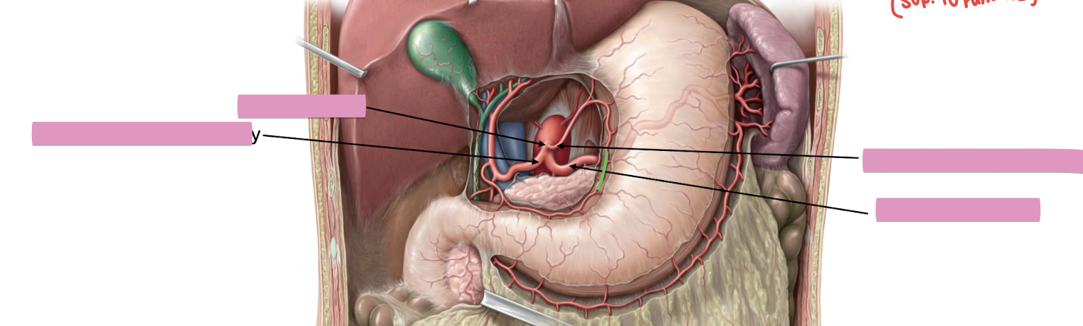 <p>Fill in the blank </p>